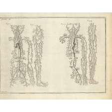 Planches d'anatomie.