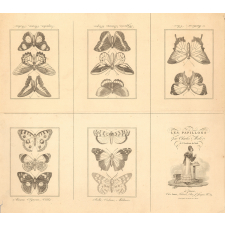 Les papillons par Charles Malo de l'Académie du Nord.