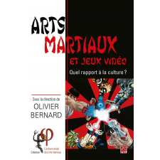Arts martiaux et jeux vidéo : quel rapport à la culture ?
