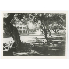 Bâtiment et cour avec arbres. 