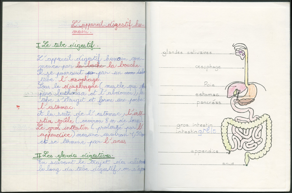 Cahier de sciences