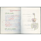 Cahier de sciences