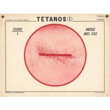 Tétanos (I).