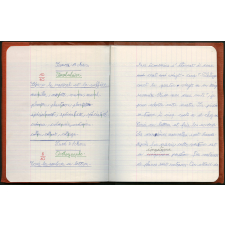 Cahier de français