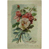 Fleurs