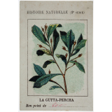 Histoire naturelle