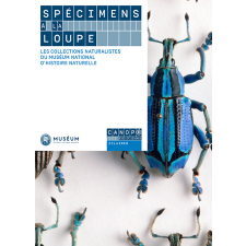 Spécimens à la loupe
