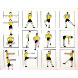 Loto-imagier de type Decroly. Mouvements de gymnastique. 
