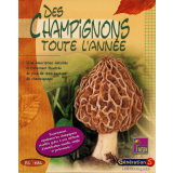 Des champignons toute l'année