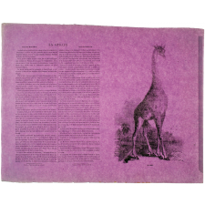La Girafe.