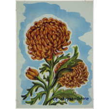 Les fleurs