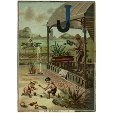 Cartes alphabétiques à collectionner.