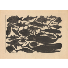 Ombres chinoises. Silhouettes de poissons.