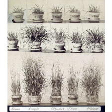 Expériences agricoles.