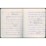 Cahier de français