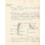 Sciences