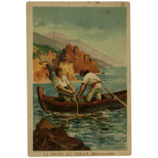 Images à collectionner. Animaux et végétaux. 