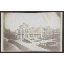 Institut Pasteur