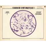Charbon symptomatique (I).