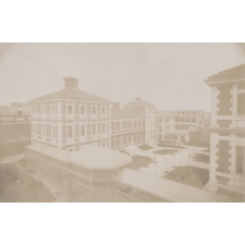 Institut Pasteur