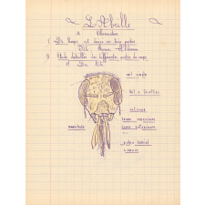 Sciences naturelles