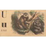 Alphabet. U-nau U u. 