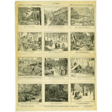 La forêt