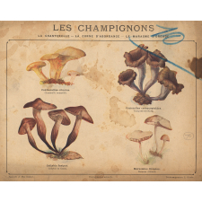 Cahier d'exercices