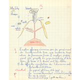 Géographie