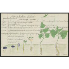 Cahier de leçons de choses.