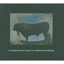 Le Daguerréotype français. Un objet photographique