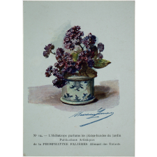 Fleurs