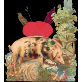 Images florales et animalières. 