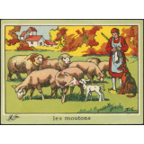 Les moutons