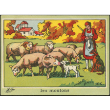 Les moutons