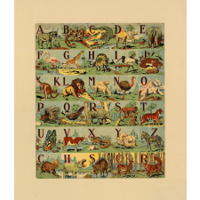 Alphabet des animaux. 