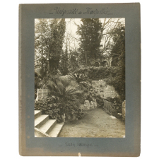 Université de Montpellier, Jardin botanique.
