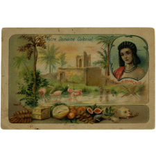 Images à collectionner. Notre Domaine Colonial.