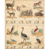 Alphabet des animaux. 