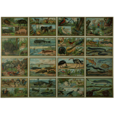 Planches d'animaux.