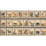 Alphabet des animaux. 