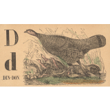 Alphabet. Din-don D d. 