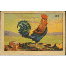 Coq