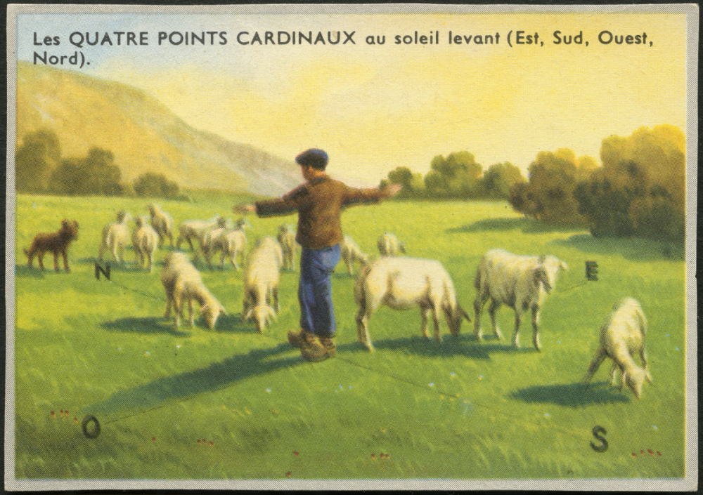 Les quatre points cardinaux au soleil levant (Est, Sud, Ouest, Nord)