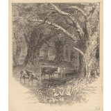Illustrations de livres de Jeunesse. 