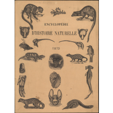 Encyclopédie d'Histoire naturelle. 1875.