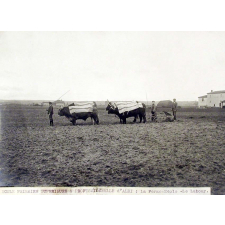 Ecole Primaire Supérieure d'Albi. La ferme-école.