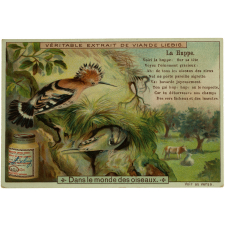 Cartes réclame. Véritable extrait de viande Liebig. Peptone de viande de la Compagnie Liebig. Dans le monde des oiseaux.
