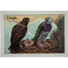 Les oiseaux