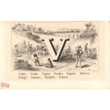 Alphabet. Carte alphabétique - lettre V. 
